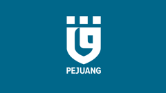 Pejuang flag